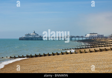 Eastbourne East Sussex Eastbourne Beach und hölzerne Groynes mit Eastbourne Pier in der Ferne, Eastbourne, East Sussex, England, GB, Großbritannien, Europa Stockfoto