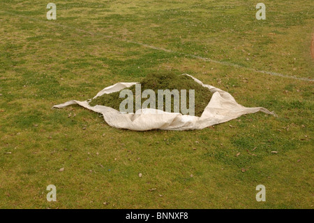 Frisch geschnitten Grasschnitt auf eine plane. Stockfoto