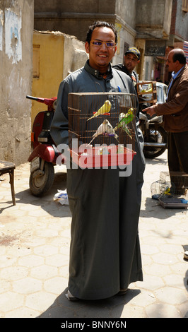 ägyptische posiert mit seinen wertvollen Vögel, Vogelmarkt, Seitenstraße nahe der Al-Tonssy Überführung, nahe der Zitadelle, Kairo, Ägypten Stockfoto