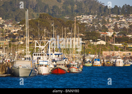 Boote im Hafen von Morro Bay, Kalifornien Stockfoto