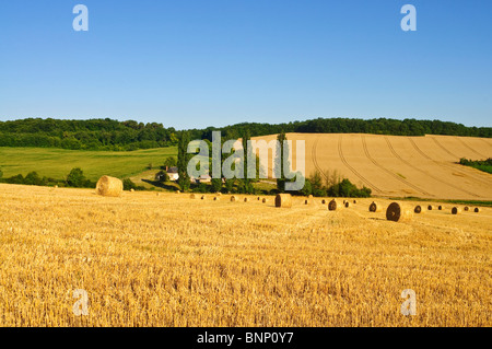 Ackerland nach der Ernte mit Stroh Rundballen - Indre-et-Loire, Frankreich. Stockfoto