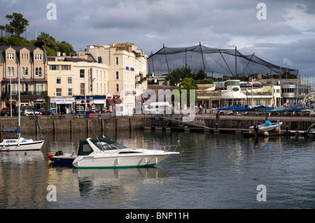 Torquay Hafen Hafen und lebende Küsten, Hafen, ist Living Küsten Küste Zoo im Besitz von Paignton Zoo Whitley Wildlife trust Stockfoto