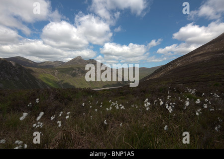 Blick auf die Mourne Berge von Slieve Binian, County Down, Nordirland, Vereinigtes Königreich Stockfoto