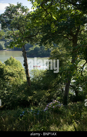 Dittisham Fluss Fähre Stockfoto