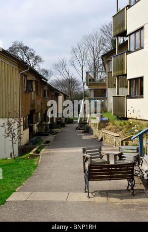 SpringHill Eco-Gehäuse, gemeinschaftliches, soziale Gemeinschaft wohnen. Stroud Gloucestershire. England, UK. Stockfoto