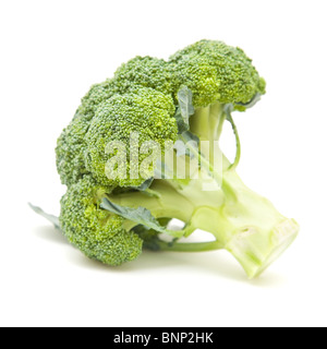 einzelnen Brokkoli isoliert auf weißem Hintergrund; Stockfoto