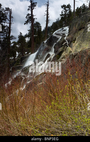 Lower Eagle Falls und Creek Hartriegel, Lake Tahoe, Kalifornien, USA. Stockfoto