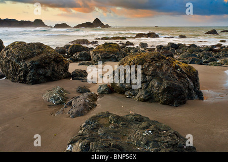 Felsküste bei Harris State Park Strand-Brookings, Oregon, USA. Stockfoto