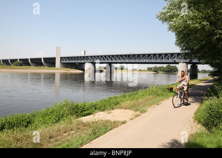 Ein Radfahrer auf dem Elbe-Radweg verläuft die Magdeburg-Aquädukt, Deutschland, Europa. Stockfoto