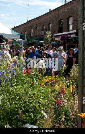Columbia Road Flower Market, London, E2, England, UK Stockfoto