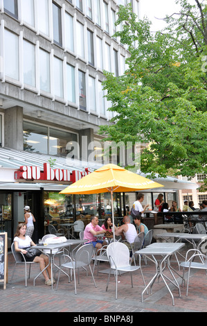 Au Bon Pain Café, Harvard University, Cambridge, Massachusetts, USA Stockfoto