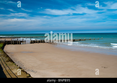 Holz-Buhnen am Overstrand in der Nähe von Cromer in North Norfolk East Anglia England Vereinigtes Königreich Stockfoto