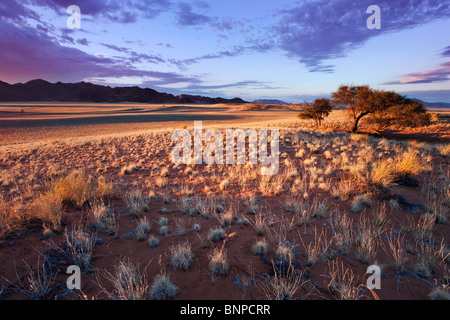 Untergehenden Sonne leuchtet, einzigartige Landschaft der Namib-Wüste Südwesten oder Pro-Namib. NamibRand Nature Reserve, Namibia Stockfoto