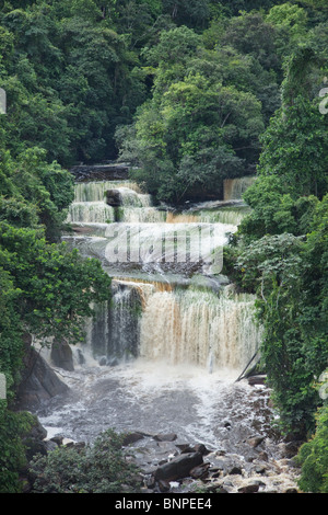 Grünes Wasser Rasen schafft abstrakte Muster in einer Reihe von Wasserfällen in einem Regenwald Fluss Venezuela Stockfoto