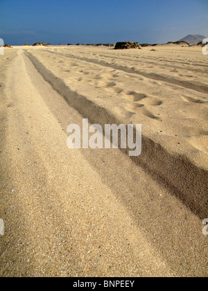 Reifenspuren Sandstrand entlang Stockfoto