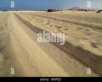 Reifenspuren Sandstrand entlang Stockfoto