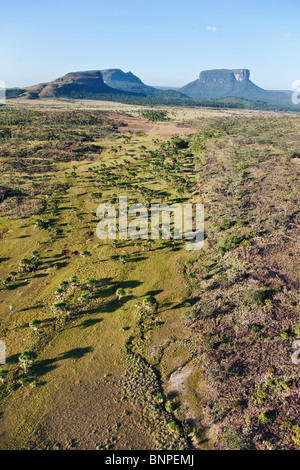 Die Gran Sabana oder große Savanne liegt auf einem Plateau mit riesigen Tafelberge Tepuis Venezuela in Südamerika genannt punktiert Stockfoto