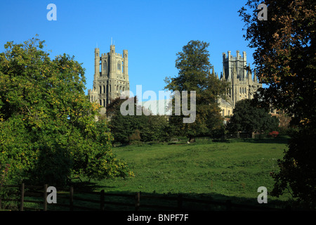 Ely Kathedrale aus dem Süden Stockfoto