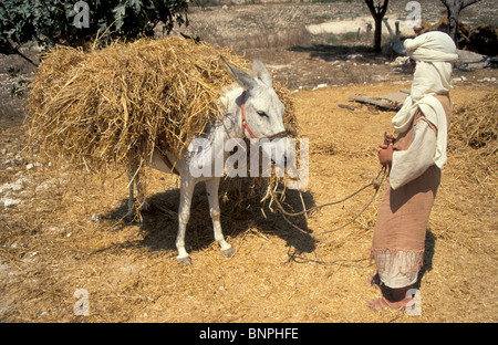 Israel, Galiläa, Nazareth Dorf Nazareth in der Zeit von Jesus neu Stockfoto