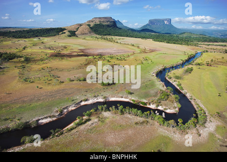 Die Gran Sabana oder große Savanne liegt auf einem Plateau mit riesigen Tafelberge Tepuis Venezuela in Südamerika genannt punktiert Stockfoto