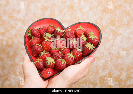 Eine Frau hält einen herzförmigen Teller mit frischen Erdbeeren Stockfoto