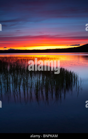 Schottland, Schottisches Hochland, Cairngorm National Park. Sommer Sonnenuntergang über Loch Morlich in der Nähe von Aviemore. Stockfoto