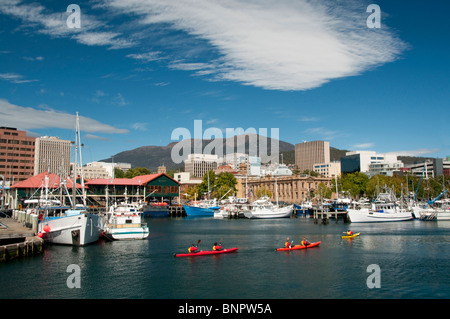 Kajakfahrer in Victoria Dock, Hobart, Tasmanien, Australien Stockfoto