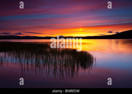 Schottland, Schottisches Hochland, Cairngorm National Park. Sommer Sonnenuntergang über Loch Morlich in der Nähe von Aviemore. Stockfoto