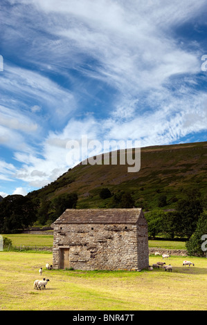 Dales Scheune neu geernteten Wiese, Spinner Ghyll auf dem Fluß Swale nachschlagen Stockfoto