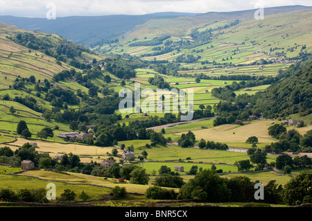 Nachschlagen von Swaledale in Richtung Gunnerside aus Whitaside Moor. Stockfoto