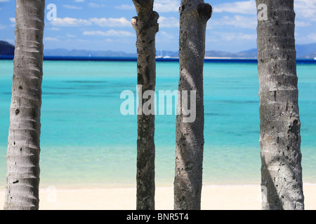 Strandszenen auf Hayman Island, Queensland, Australien Stockfoto