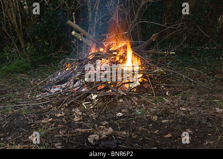 Garten Lagerfeuer brennen Sträucher und Holz, oft die Ursache von Streitigkeiten zwischen Nachbarn ausgeräumt Stockfoto