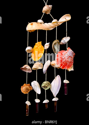 Dekoration mit vielen verschiedenen Muscheln und Schnecken auf einem schwarzen Hintergrund. Stockfoto