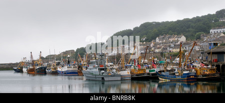 Ein Panoramablick über Angelboote/Fischerboote vertäut im Hafen von Newlyn in Cornwall.  Foto von Gordon Scammell Stockfoto