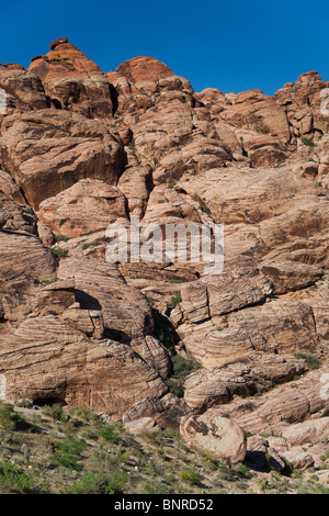 Red Rock Canyon Las Vegas State Park - Calico Hills Stockfoto