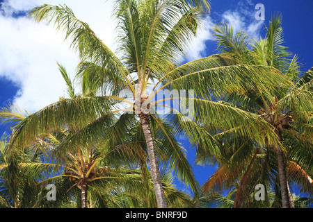 Strandszenen auf Hayman Island, Queensland, Australien Stockfoto