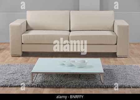 Moderne Wohnzimmer Detail eines weißen Sofa und Bücherregale Stockfoto