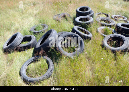 Alte Autoreifen auf einem grünen Mead in Polen, Region Masowien Stockfoto