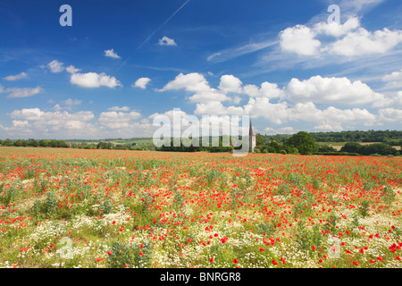Mohnfeld vor Kirche; Osten Barming; Kent; England Stockfoto