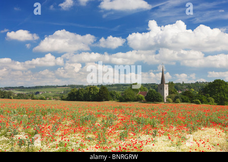 Mohnfeld vor Kirche; Osten Barming; Kent; England Stockfoto