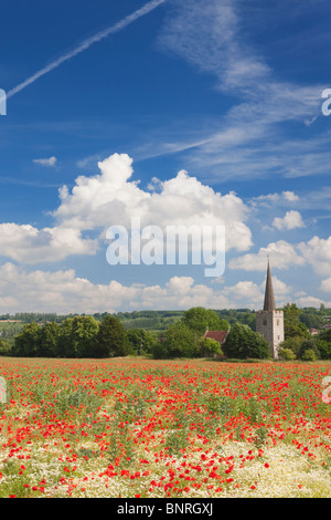 Mohnfeld vor Kirche; Osten Barming; Kent; England Stockfoto