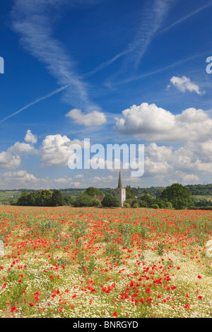 Mohnfeld vor Kirche; Osten Barming; Kent; England Stockfoto