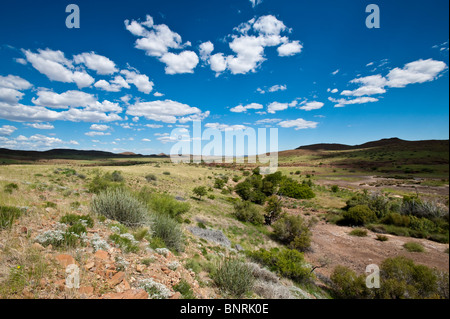 Landschaft in der Palmwag Konzession Bereich Namibia Stockfoto