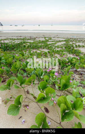 Juara Strand in der Abenddämmerung auf Tioman Island, malaysia Stockfoto