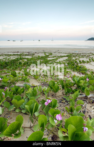 Juara Strand in der Abenddämmerung auf Tioman Island, malaysia Stockfoto