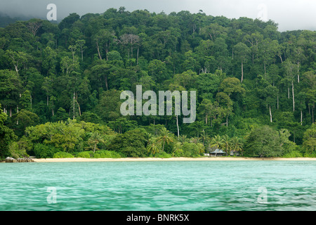 wilde tropische Seenlandschaft in Tioman Island, malaysia Stockfoto