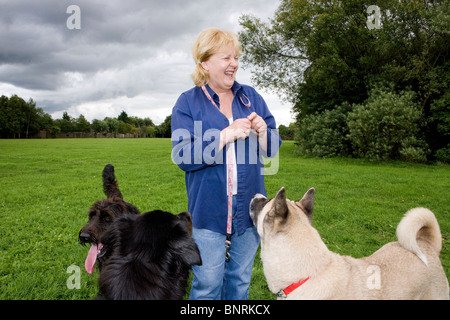 Drei Hunde in einem Landschaftspark behandelt Lachen Dame Dogwalker Angebote Stockfoto