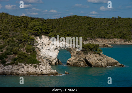Italien, Apulien, Gargano Küste Klippen Stockfoto