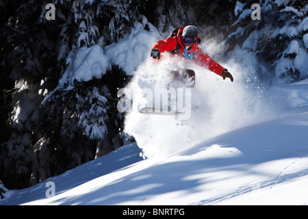 Ein Snowboarder reißt unverspurten Pulver abwechselnd in Colorado. Stockfoto
