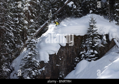 Ein Snowboarder reißt unverspurten Pulver abwechselnd in Colorado. Stockfoto